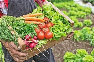Can I Get a Free Keto Meal Plan
